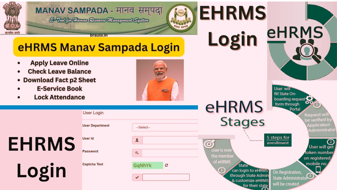 ehrms login