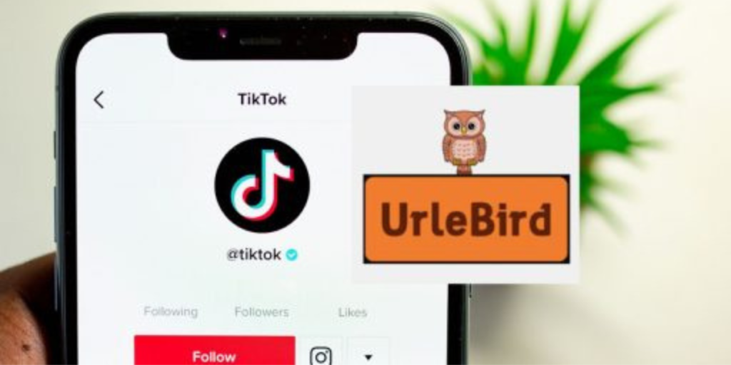 Urlebird.com Work